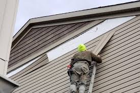 Best Wood Siding Installation  in Burns Harbor, IN